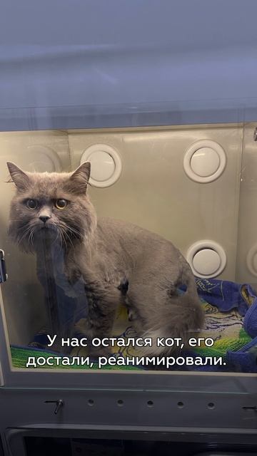 Кто заплатит за пожар в квартире?