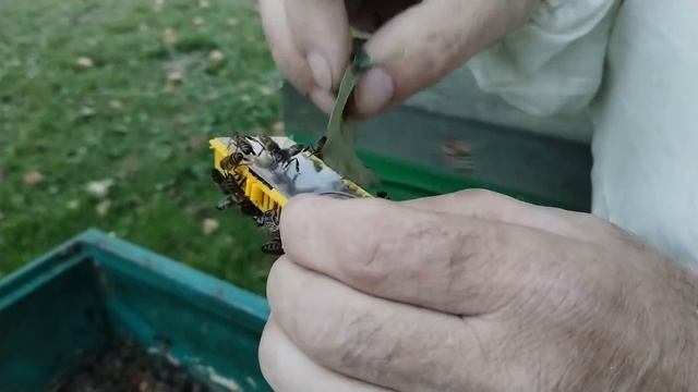 5 октября НОВОЕ РЕШЕНИЕ