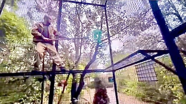 Дождь, а норовистый Тайсон не хочет идти в зимний вольер, пришлось помочь Юле❤️