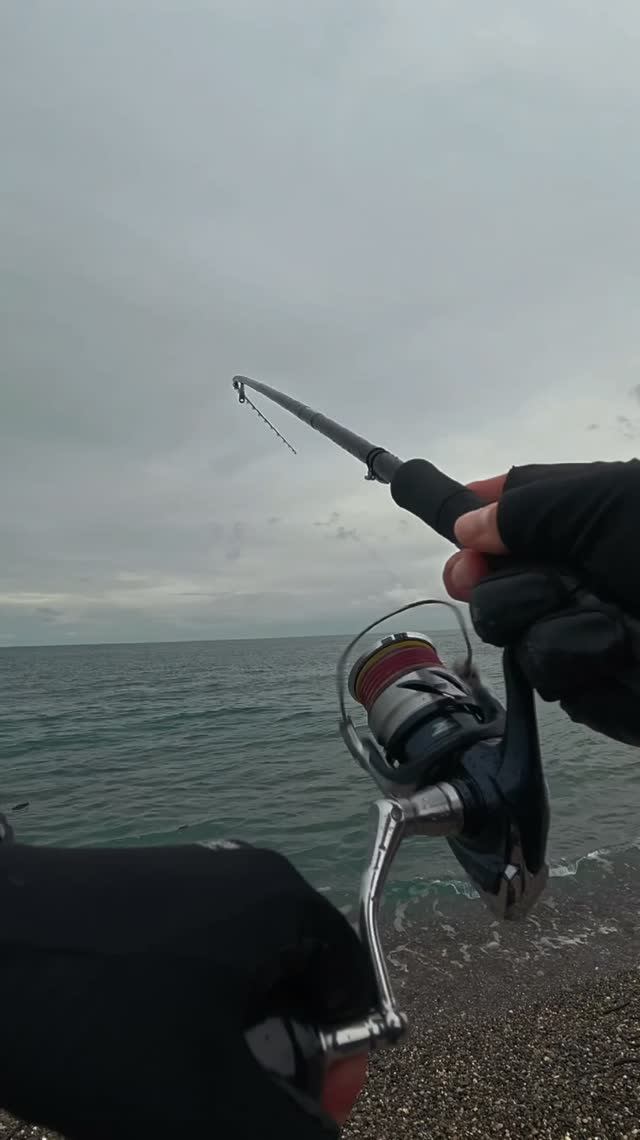 Рыбалка на Черном море