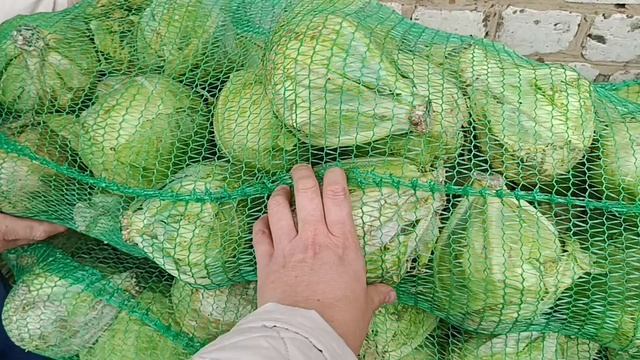 ПО МАГАЗИНАМ, КУПИЛИ 90КГ.КАПУСТЫ, ДВА МЕШКА МОРКОВИ И ЕЩЁ ТОГО ДРУГОГО.