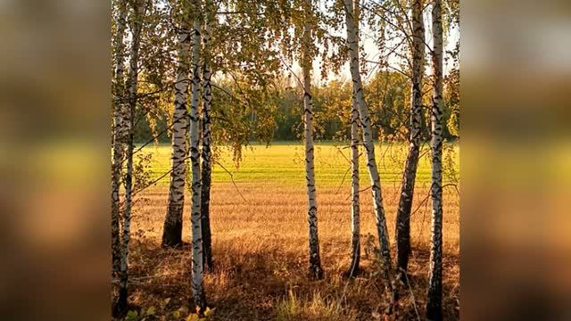 Видео-зарисовки