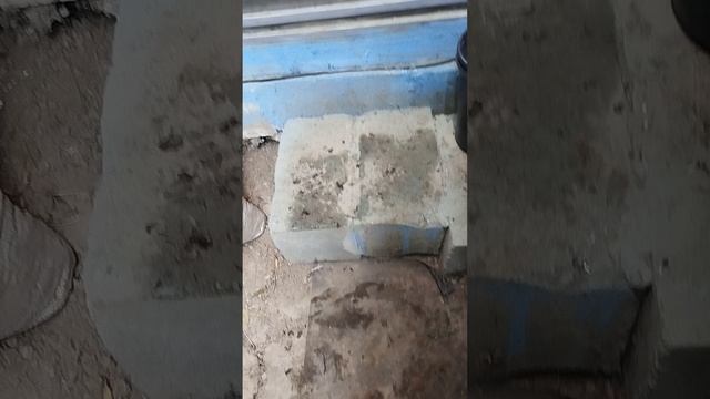 Сад и огород