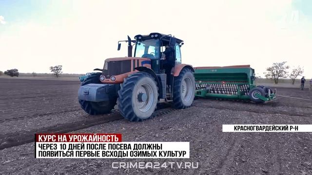 Посевная озимых стартовала в Крыму. Какую площадь отвели под культуры?