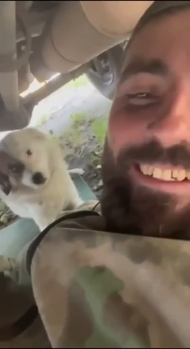 Шерстяные помощники 🐶🐱 автомеханика на СВО 👍