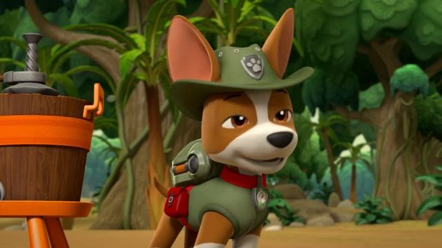 Jungle Pups из PAW Patrol спасают животных!  с Маршаллом и Трекером | 2 часа | Nick Jr.