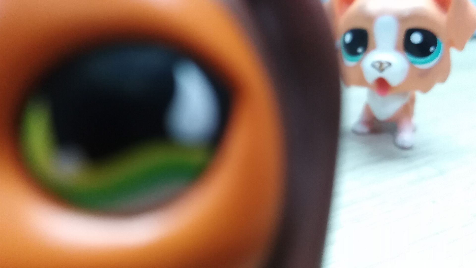 LPS