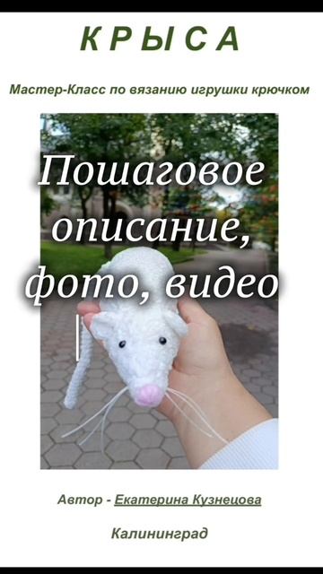 Мастер Класс