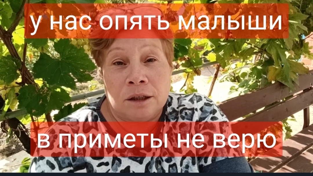 373🌹Не планировали/У нас опять малыши/В приметы не верю/Отвечаю на вопросы/Рассадила цветы/