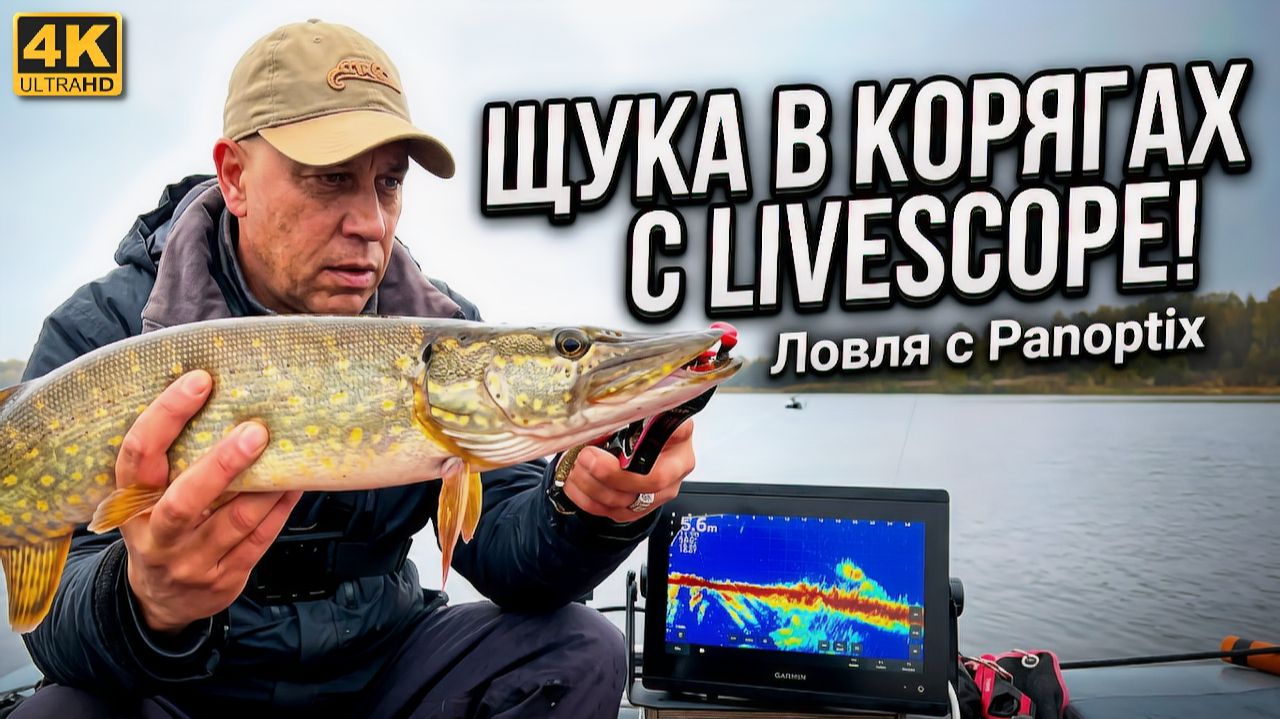 Ловля ЩУКИ в КОРЯГАХ. Осенняя рыбалка на спиннинг 2026