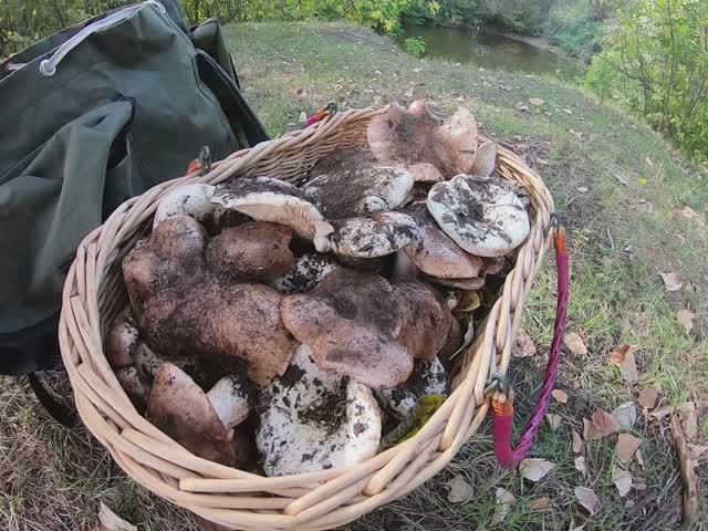 Волгоград - мой родной город.