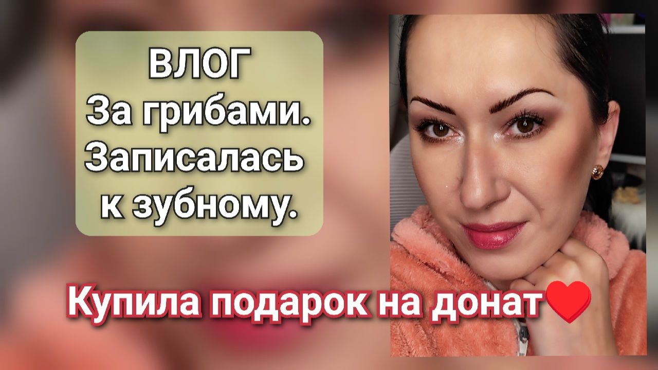 ВЛОГи