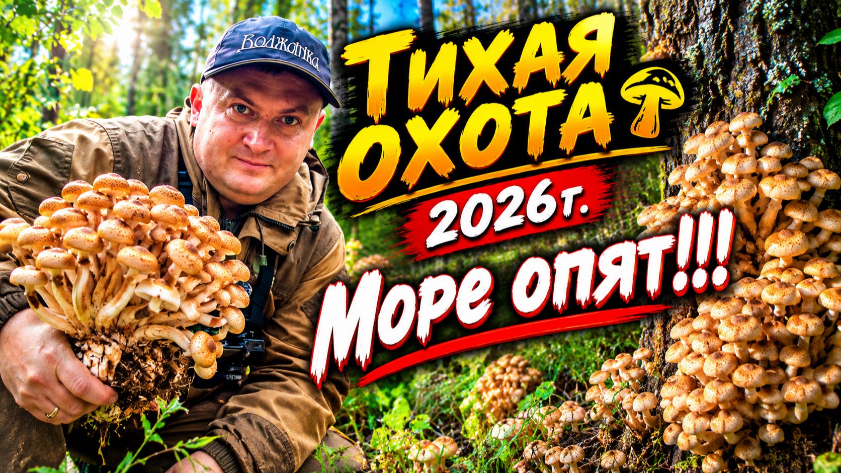 Походы!  В лес за грибами и вообще.