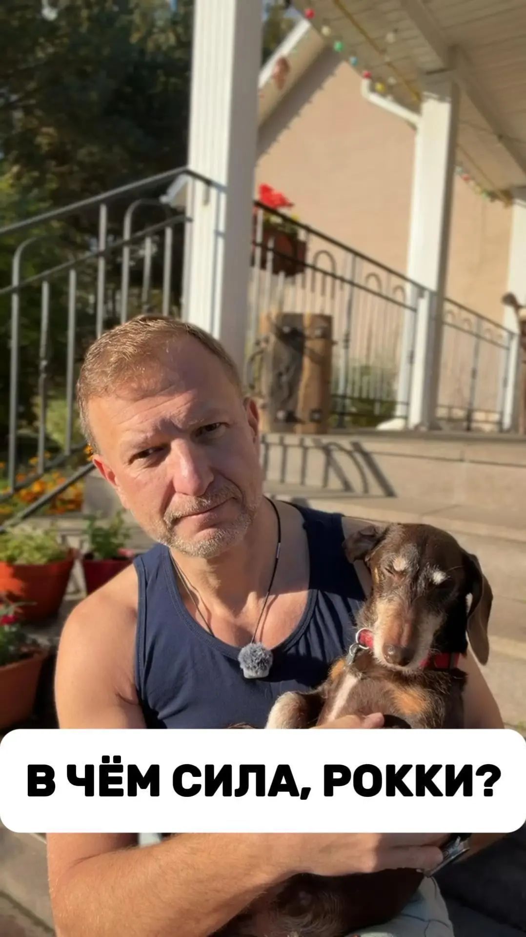 В чём сила, Рокки? | Пётр Лидов // Пока вы спали
