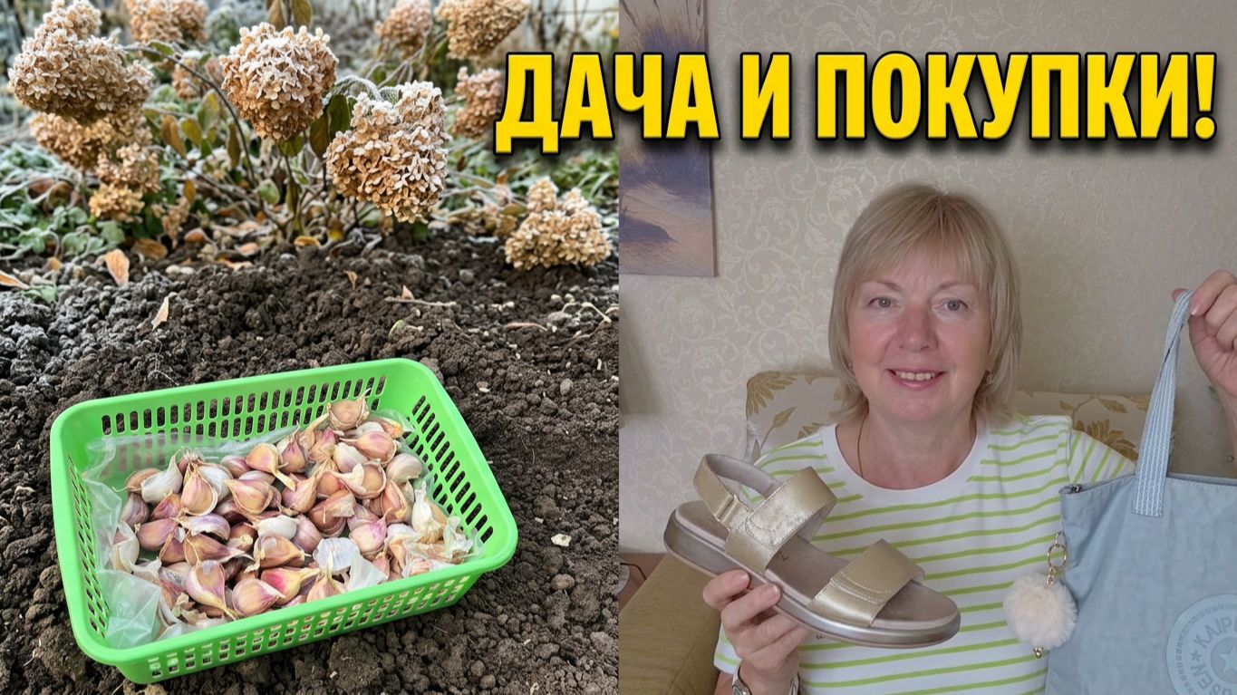 Заморозки на даче Посадила чеснок.Покупки с WB и ОЗОН Не ожидала такого