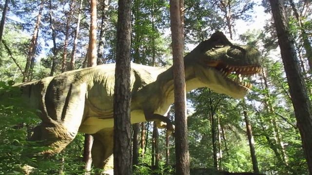 Наши поездки