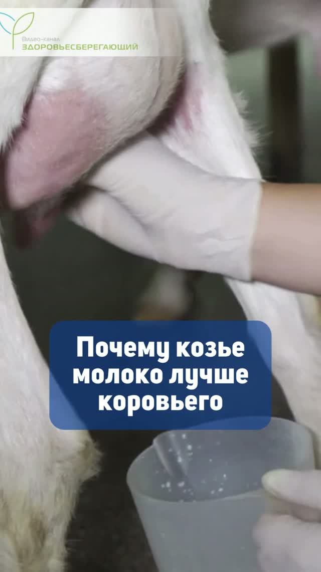 Короткие видео