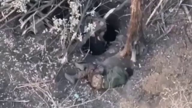 Украинский боевик отказал раненому побратiму в убежище