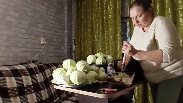 В ДОМЕ ДВА ТОПЛЮ ПЕЧЬ, КВАСИМ КАПУСТУ И ТУШИМ.