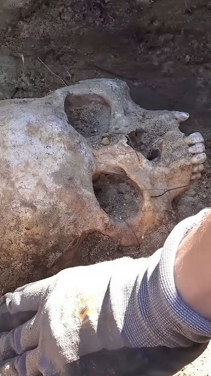 🤔 Зелёный Яр: главная загадка археологии Ямала