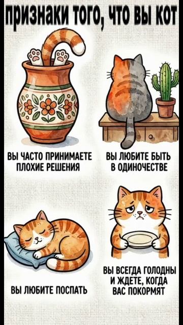 Мультик.  Признаки того что Вы кот. Мяу !