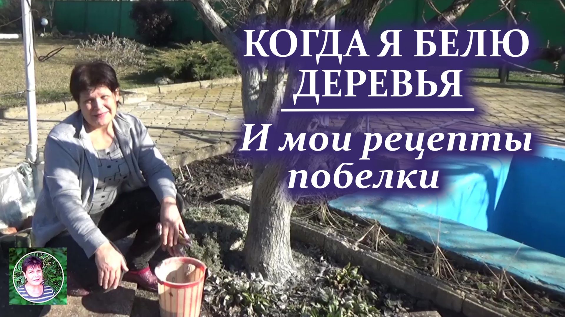 Когда белить деревья: почему я перенесла побелку на февраль и мои рецепты побелки