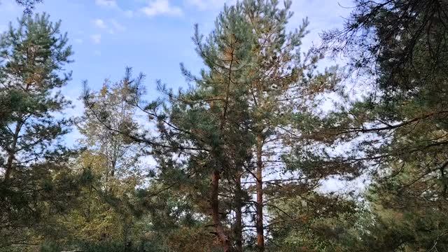 Немного про работу по найму в организации