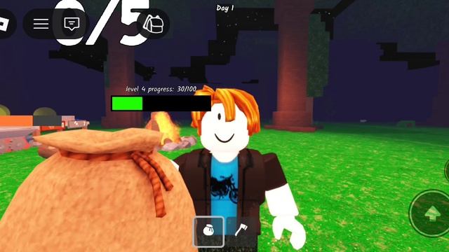 Играю в Roblox