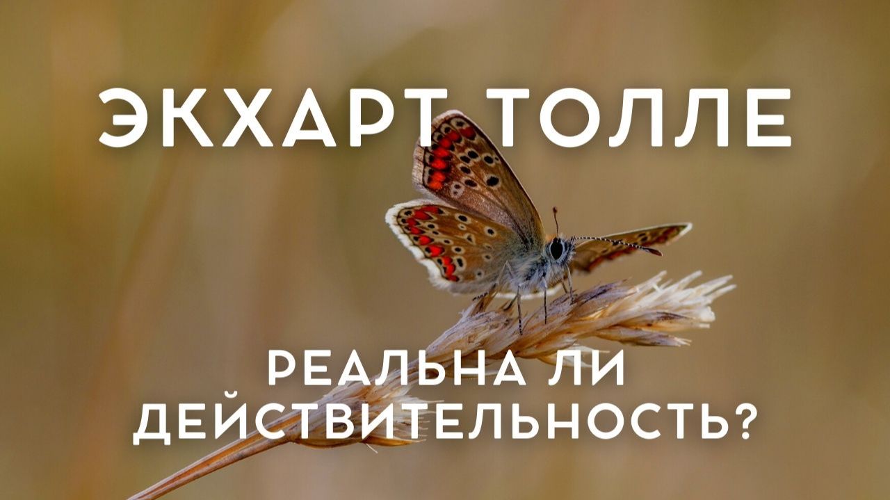 Экхарт Толле