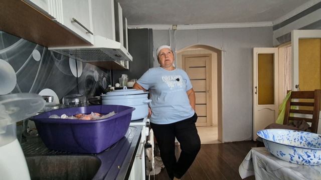 приехали ветеринары/дело движется к завершению/ пересадила лилии/