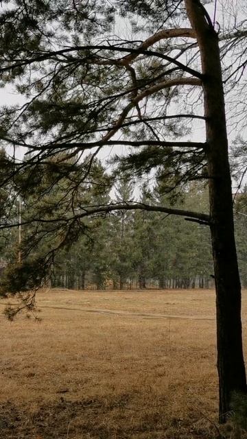 беру камеру, советую оптику и иду снимать природу