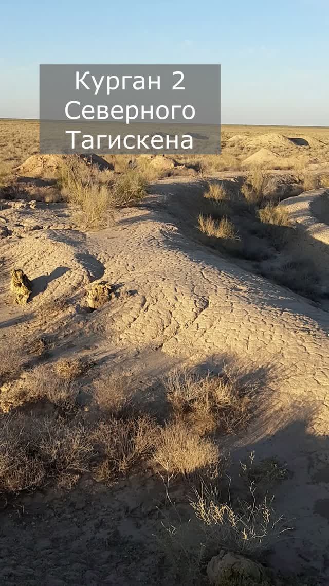Туран 2026