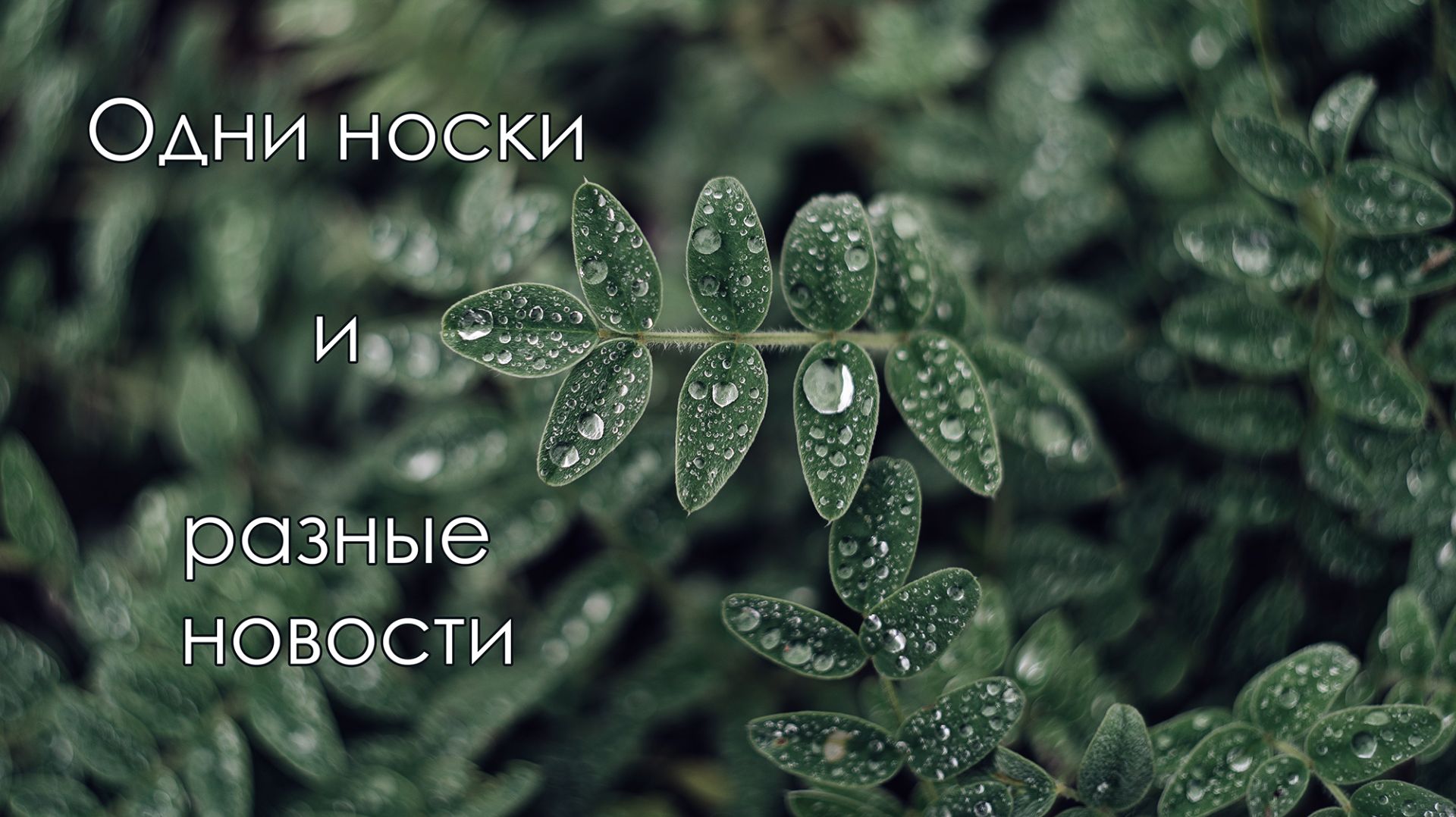 НЕ СНИМАЛА ПОЛГОДА. КАКИЕ НОВОСТИ И ЧТО С ВЯЗАНИЕМ (архив август 2020)