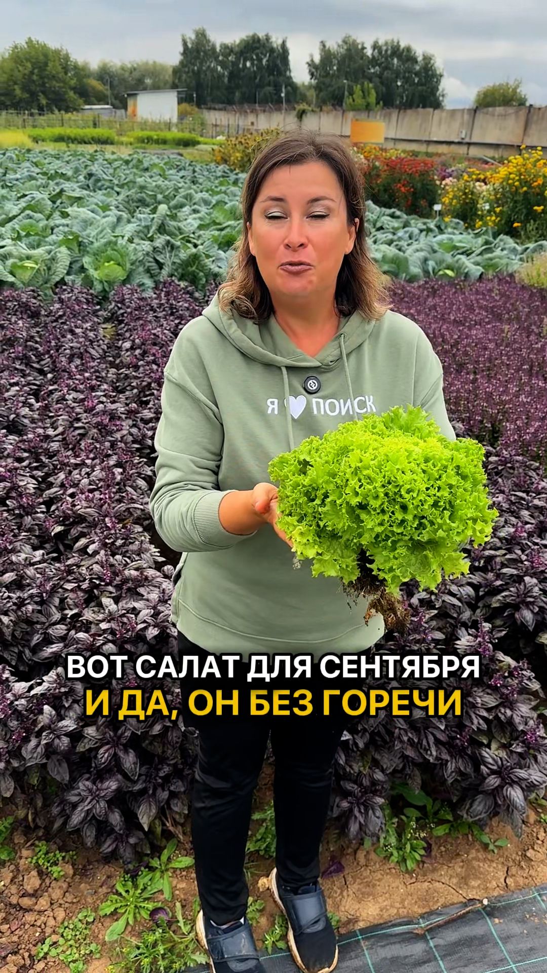 Этот листовой салат можно выращивать даже осенью!