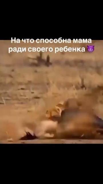 Мама❤
