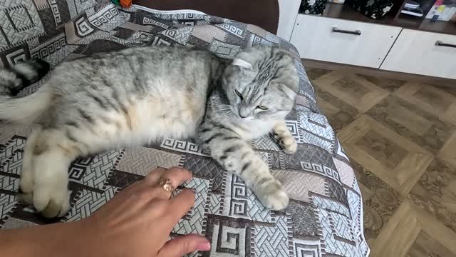 Мужа напугала сильно... Готовлюсь к больнице...