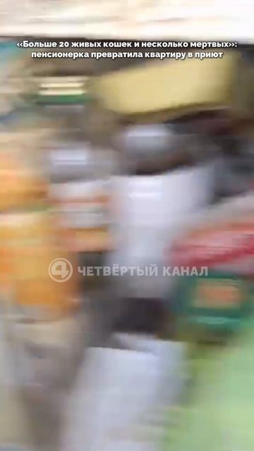 Больше 20 живых кошек и несколько мертвых