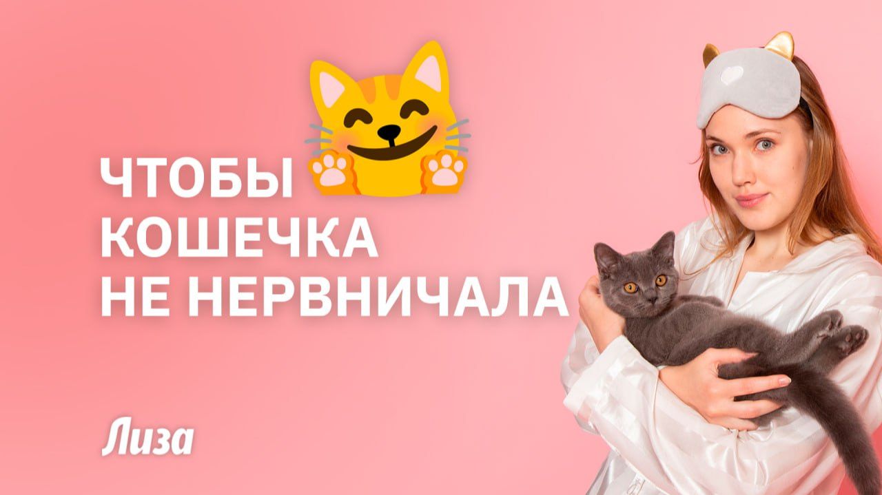 ♥️🐈КАК СДЕЛАТЬ КОШКУ СЧАСТЛИВОЙ⁉️ Царапается, стрессует — что делать? Советы зоопсихолога
