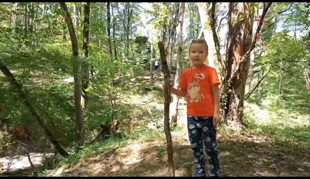 Развлечения