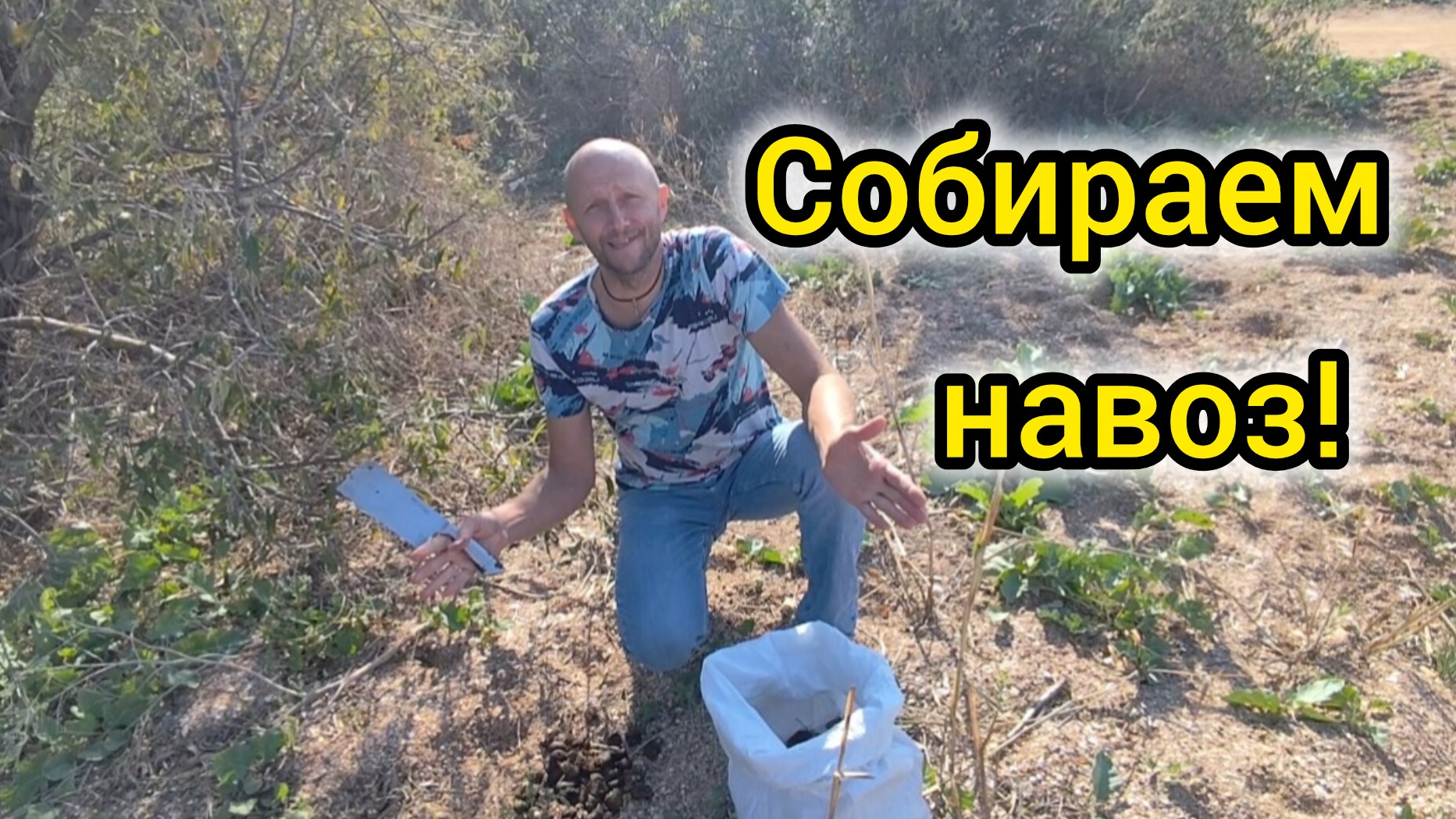 Ищем ЗОЛОТО после туристов/Купаемся в ОКТЯБРЕ/НЕ хочу штукатурку/Самое вкусное мороженое