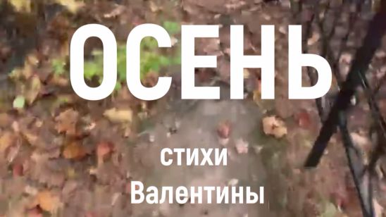 песни о природе