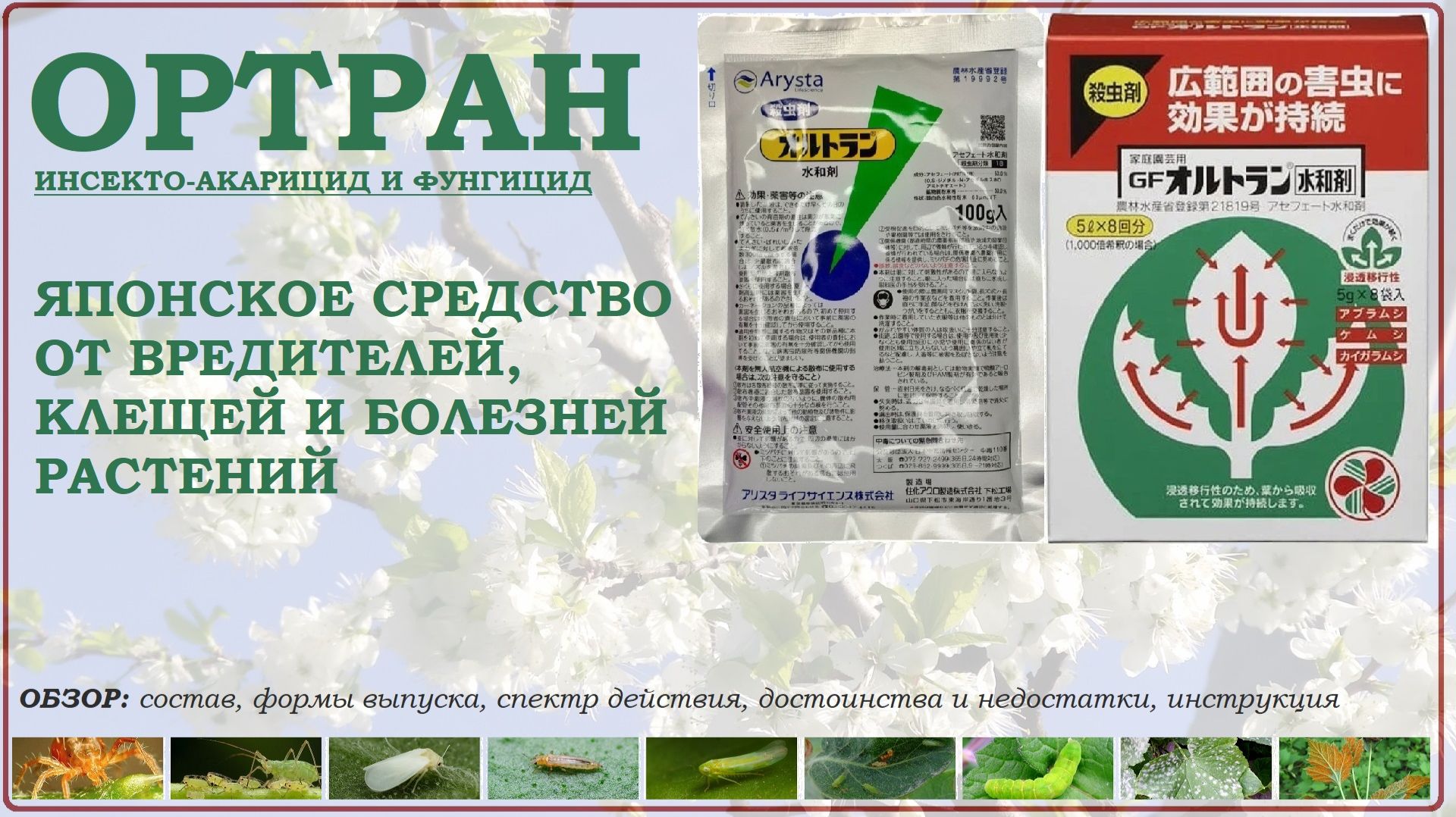 Защита растений