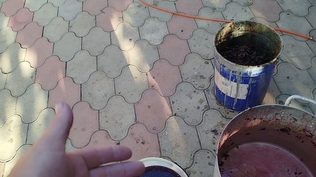 Вино,чача, самогон.