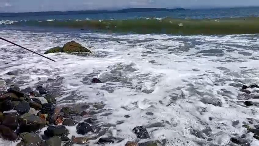 море