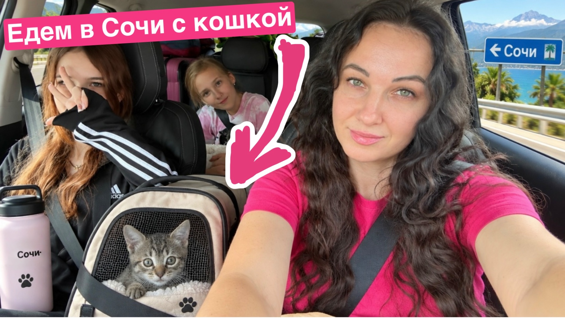 Собираем чемоданы / Едем в Сочи с кошкой / Семейный отдых / Чёрное море