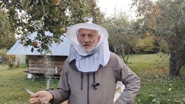 6 октября ПОЧЕМУ ПЧЁЛЫ ШУМЕЛИ