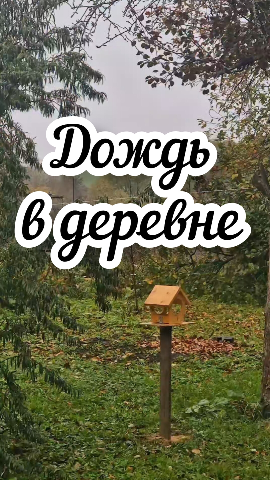 Это музыка 🎶 #жизньвдеревне