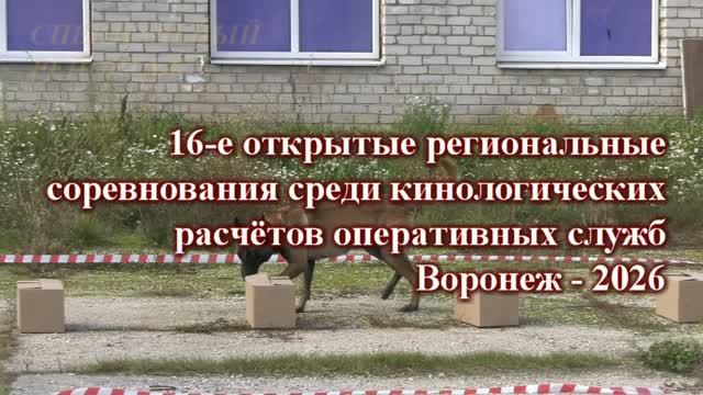 Воронежские спасатели