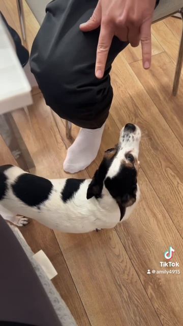 Мне сегодня 17+++++++ Ужин с детьми🥰