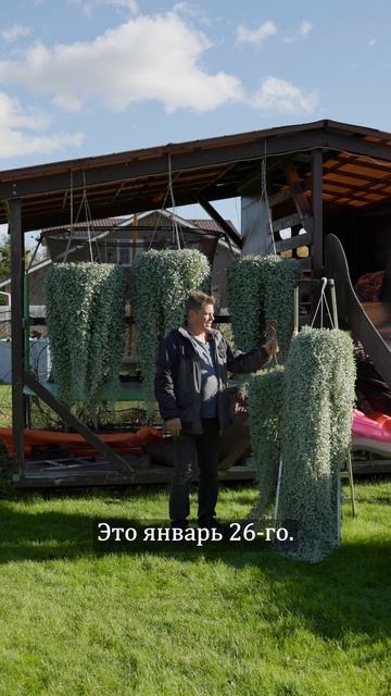 Шёл мимо тут и решил показать дихонру по состоянию на сегодня